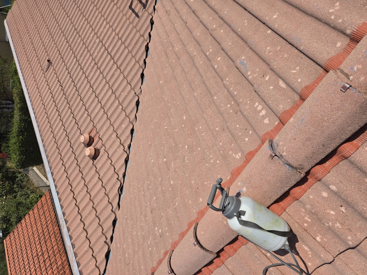 Travaux effectués aujourd'hui sur la commune de Villefontaine nous avons fait un démoussage de toiture,pose d'un amti-mousse suivie par un hydrofuge